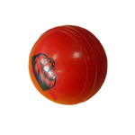 Durham Cricket Ball